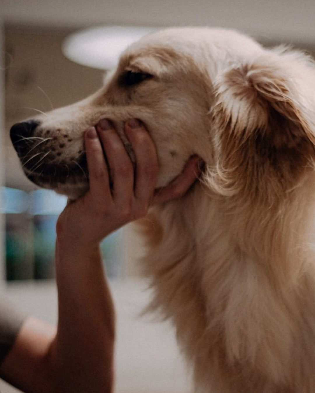 design ohne titel (3)