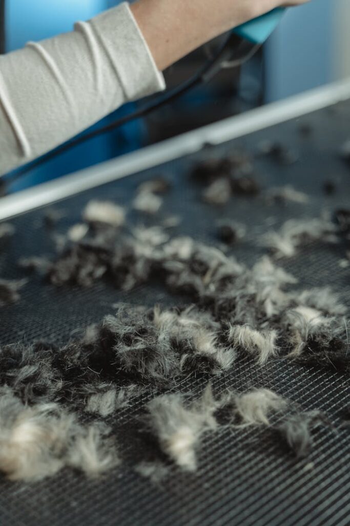 Detailed shot of pet hair on grooming table, illustrating animal care process.